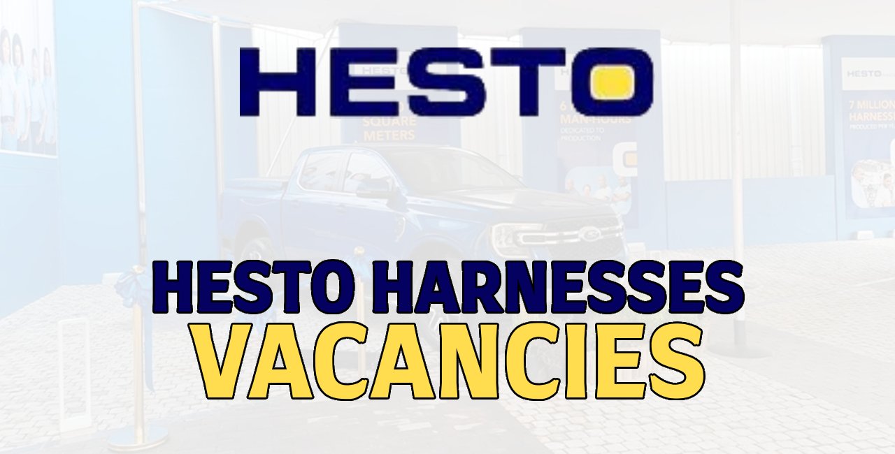Hesto Harnesses Vacancies