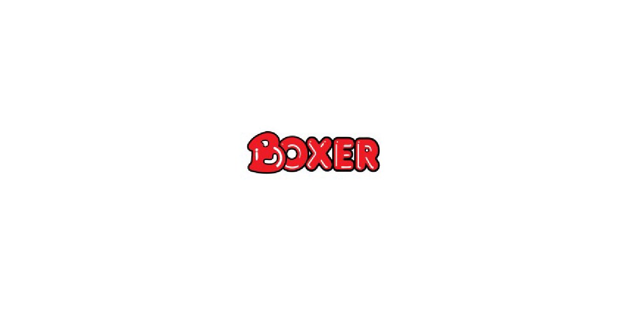Boxer Superstores logo